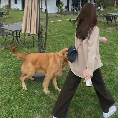 钻石舌头